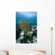 Golden-lined Snapper Raja Ampat Wall Decal