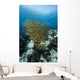 Golden-lined Snapper Raja Ampat Wall Decal