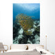 Golden-lined Snapper Raja Ampat Wall Decal