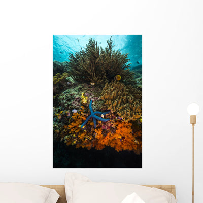 Coral Reef Raja Ampat Wall Decal shown on a wall