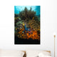 Coral Reef Raja Ampat Wall Decal