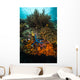 Coral Reef Raja Ampat Wall Decal