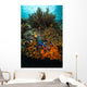 Coral Reef Raja Ampat Wall Decal