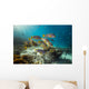 Diagonal-banded Sweetlips Raja Ampat Wall Decal