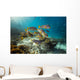 Diagonal-banded Sweetlips Raja Ampat Wall Decal