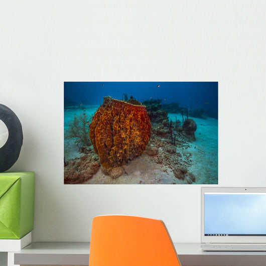 Coral Reef St Croix Horizontal Wall Decal