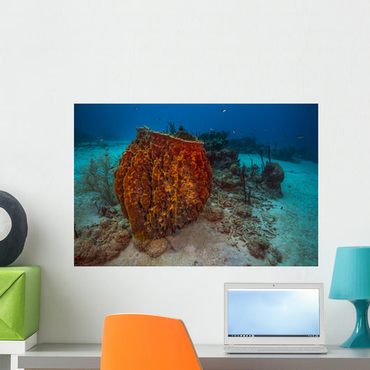 Coral Reef St Croix Horizontal Wall Decal