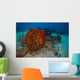 Coral Reef St Croix Horizontal Wall Decal
