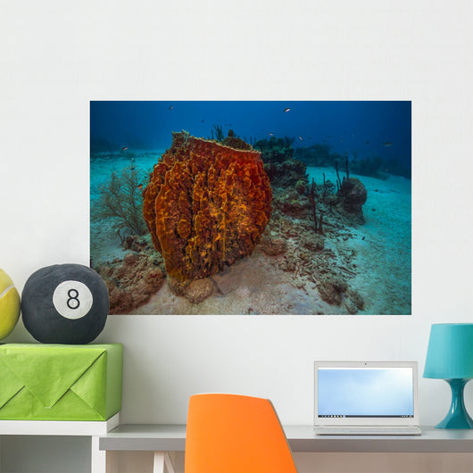 Coral Reef St Croix Horizontal Wall Decal