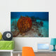Coral Reef St Croix Horizontal Wall Decal