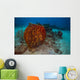 Coral Reef St Croix Horizontal Wall Decal