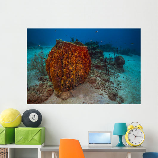 Coral Reef St Croix Horizontal Wall Decal