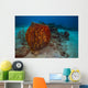 Coral Reef St Croix Horizontal Wall Decal