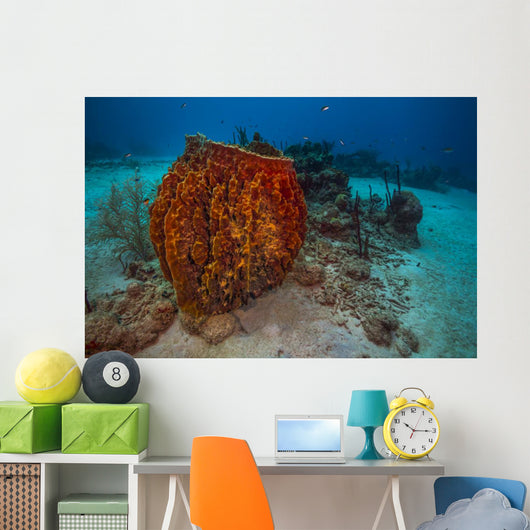 Coral Reef St Croix Horizontal Wall Decal