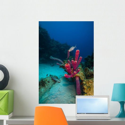 Coral Reef St Croix Pink Plant Wall Decal