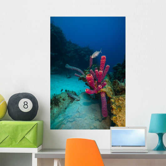 Coral Reef St Croix Pink Plant Wall Decal