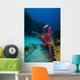 Coral Reef St Croix Pink Plant Wall Decal