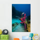 Coral Reef St Croix Pink Plant Wall Decal