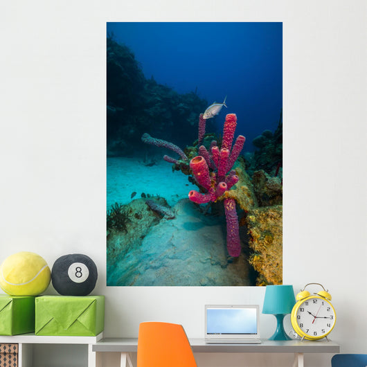 Coral Reef St Croix Pink Plant Wall Decal