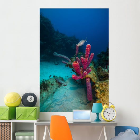 Coral Reef St Croix Pink Plant Wall Decal
