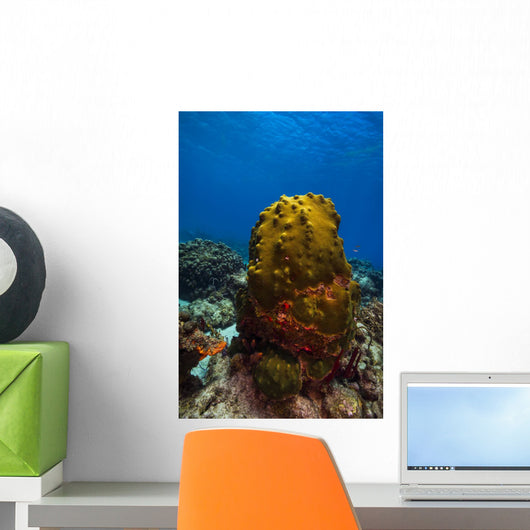 Coral Reef St Croix Green Plant Wall Decal