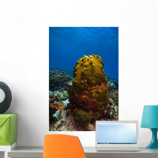 Coral Reef St Croix Green Plant Wall Decal