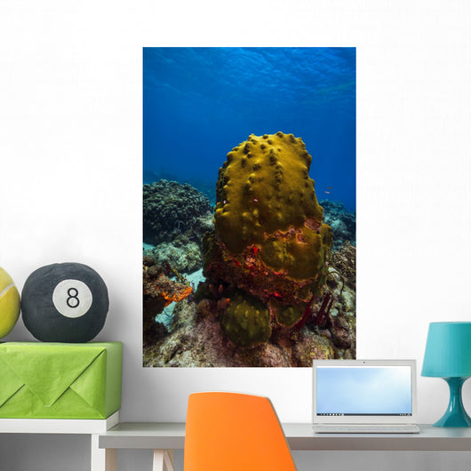 Coral Reef St Croix Green Plant Wall Decal