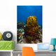Coral Reef St Croix Green Plant Wall Decal