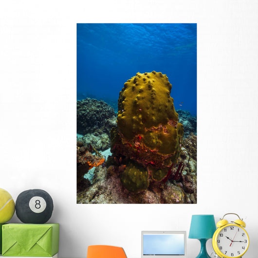 Coral Reef St Croix Green Plant Wall Decal