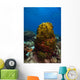 Coral Reef St Croix Green Plant Wall Decal