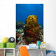 Coral Reef St Croix Green Plant Wall Decal
