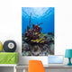 Coral Reef St Croix Surface Wall Decal