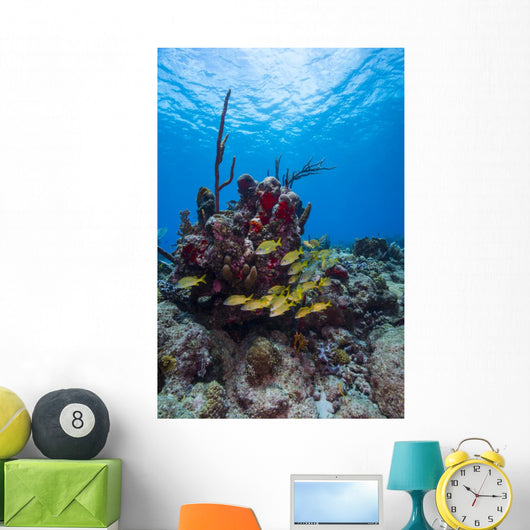 Coral Reef St Croix Surface Wall Decal