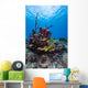 Coral Reef St Croix Surface Wall Decal