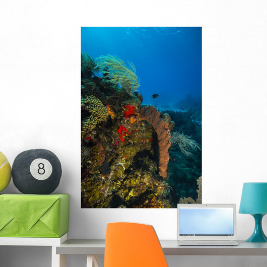Coral Reef St Croix Vertical Wall Decal