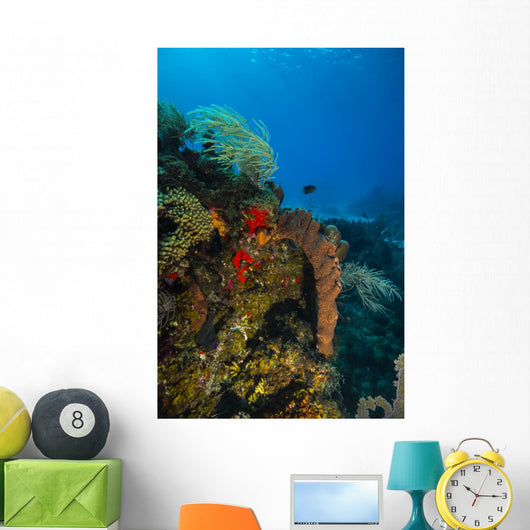 Coral Reef St Croix Vertical Wall Decal