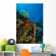 Coral Reef St Croix Vertical Wall Decal