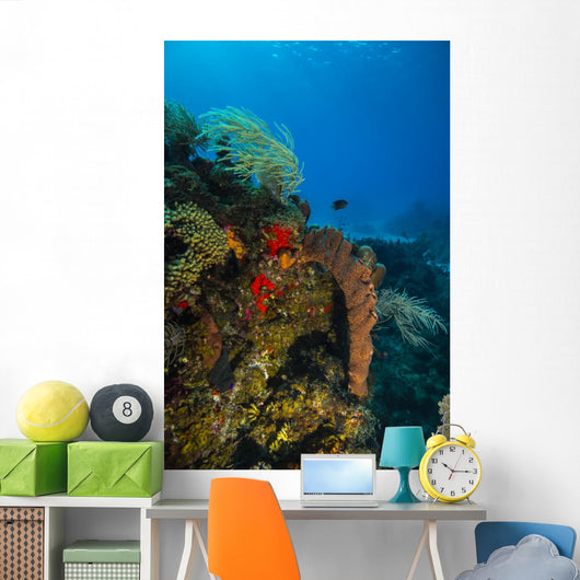 Coral Reef St Croix Vertical Wall Decal