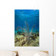 Coral Reef St Croix Close-up Wall Decal