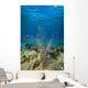 Coral Reef St Croix Close-up Wall Decal