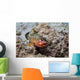 Red Hind with Shrimp Open Mouth Wall Decal