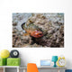Red Hind with Shrimp Open Mouth Wall Decal