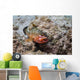 Red Hind with Shrimp Open Mouth Wall Decal