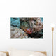 Red Hind with Shrimp Wall Decal