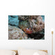 Red Hind with Shrimp Wall Decal