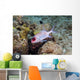 Squirrelfish St Croix Us Wall Decal