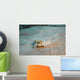 Peacock Flounder Cane Bay Wall Decal