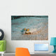 Peacock Flounder Cane Bay Wall Decal