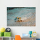 Peacock Flounder Cane Bay Wall Decal