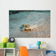 Peacock Flounder Cane Bay Wall Decal